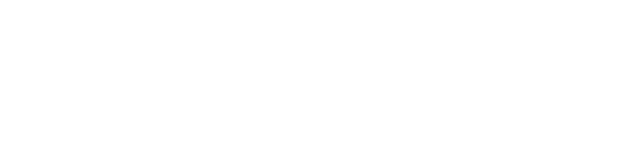 diva-logo